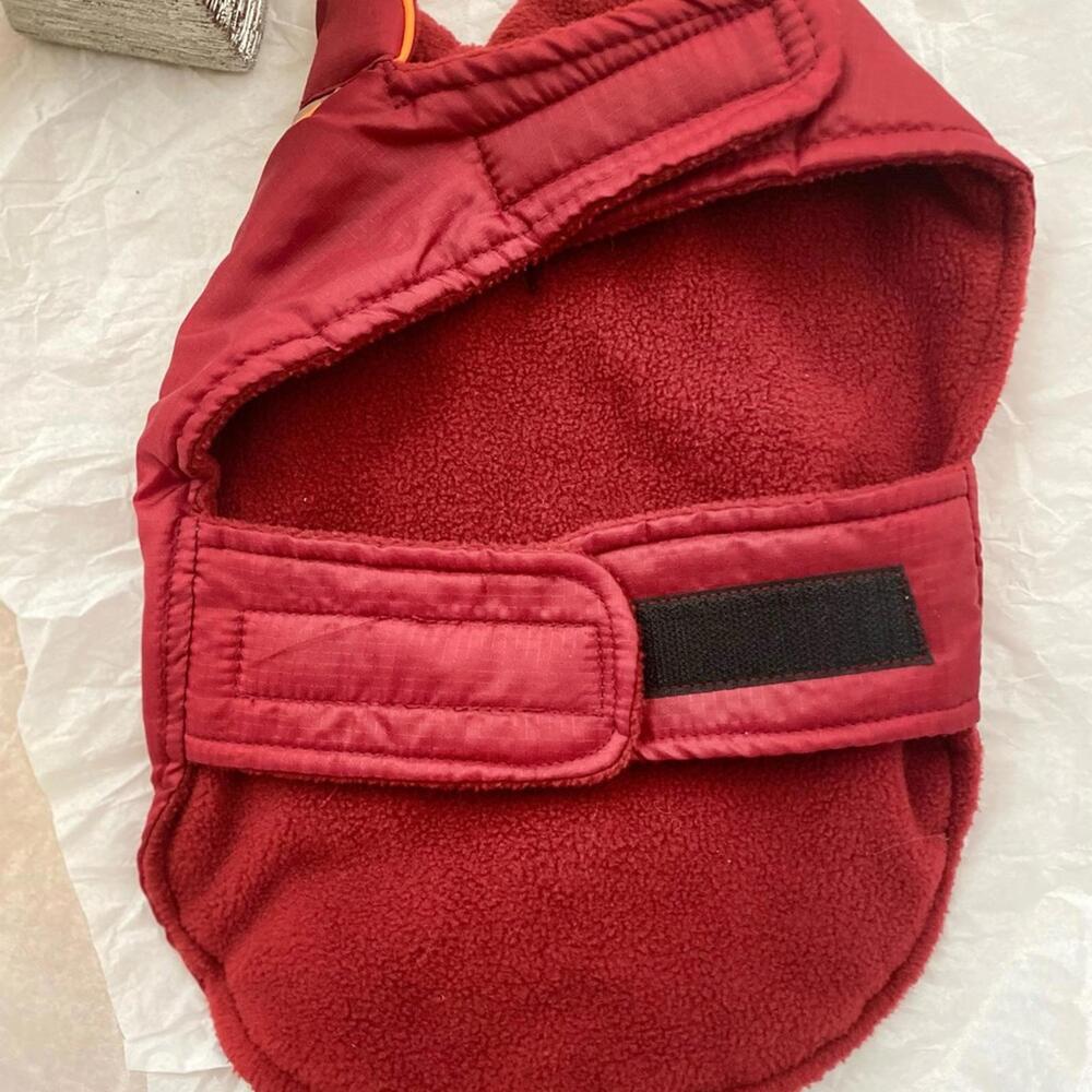 Red Dog Jacket with Bone Pattern - Picture 3 of 4